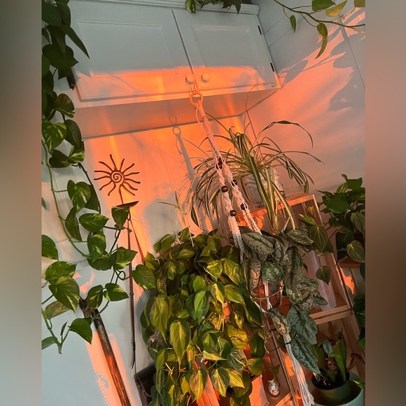 Plant Welcome Post!! 🪴🌱 - Picture 4 of 12